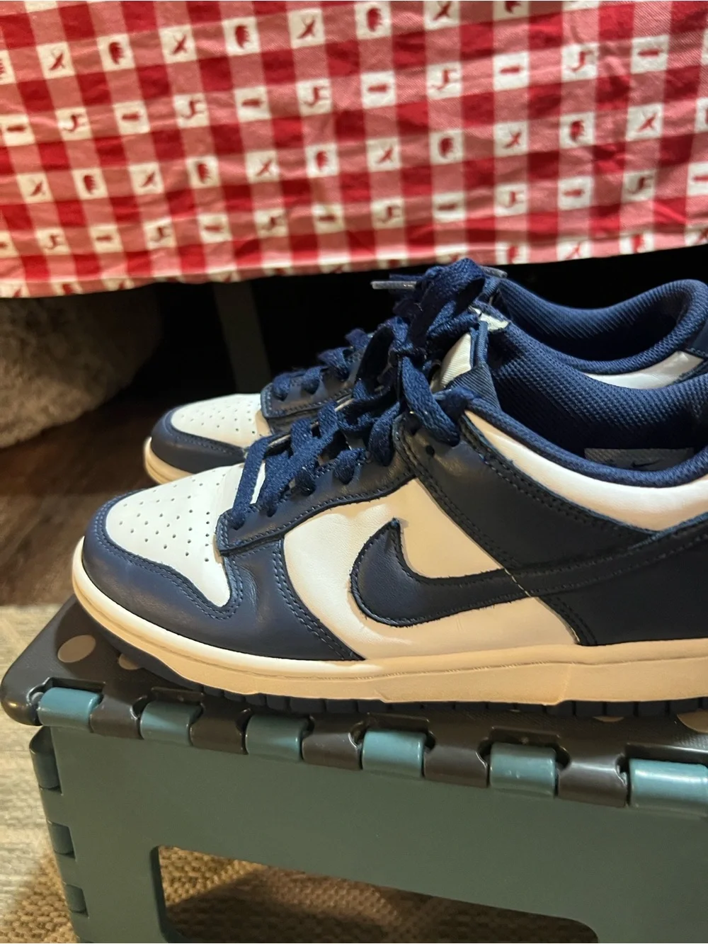 Nike Kids Dunk Navy and white Low- top sneakers.